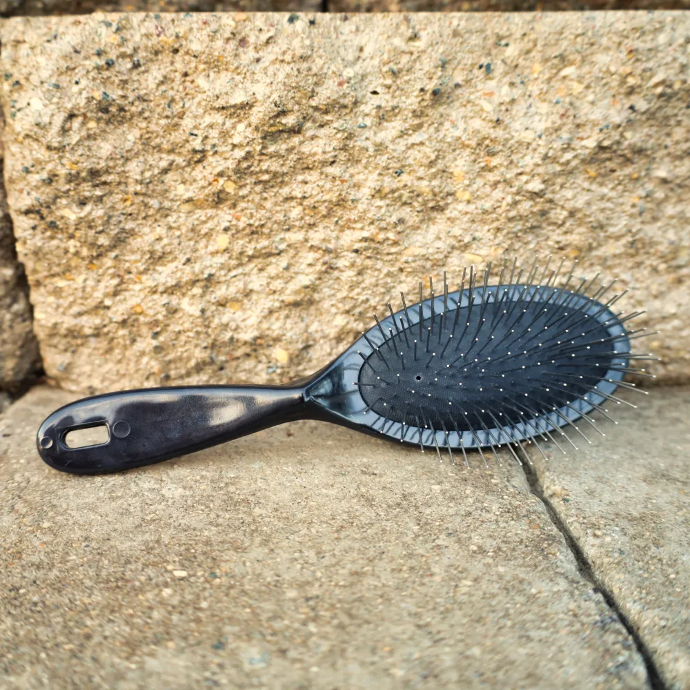 Large Pin Brush - Finer Coats
