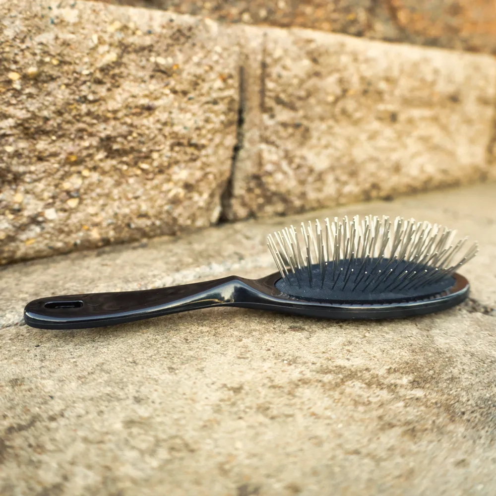Large Pin Brush - Finer Coats