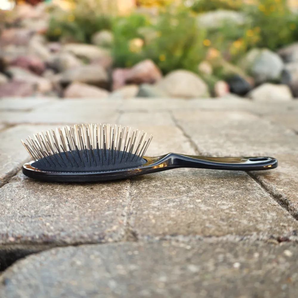 Large Pin Brush - Finer Coats