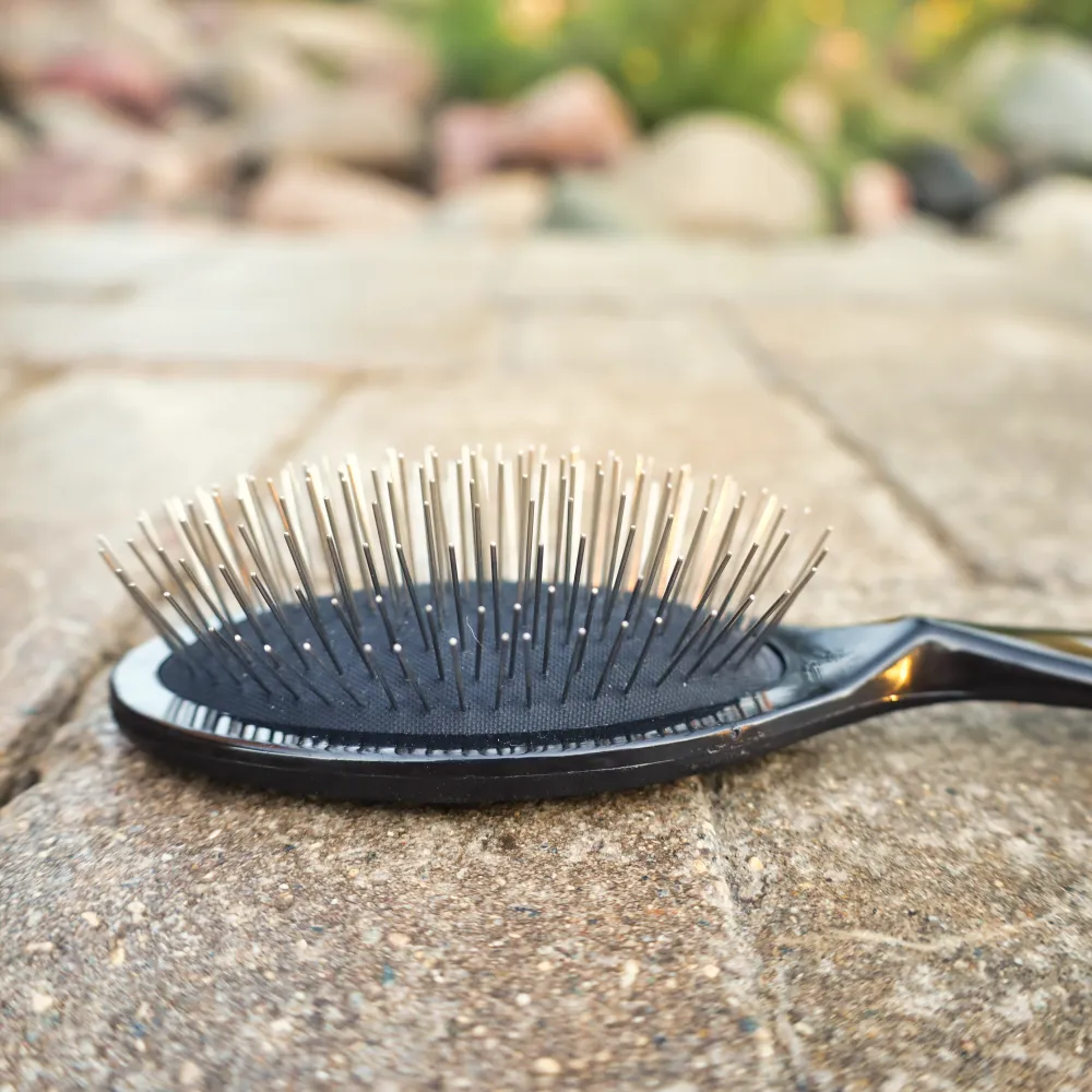 Large Pin Brush - Finer Coats